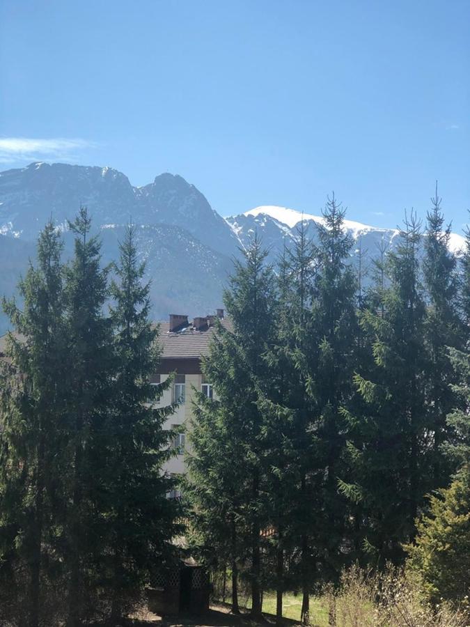 Vektron Apartment Zakopane Exterior photo